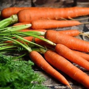 soft-carrots-may-destroy-your-juicer