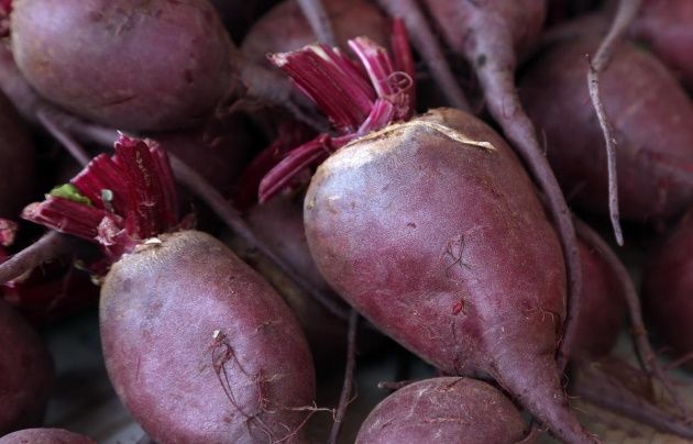 beetroot-cures-anemia