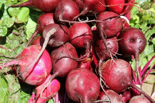 beetroot-fights-cancer