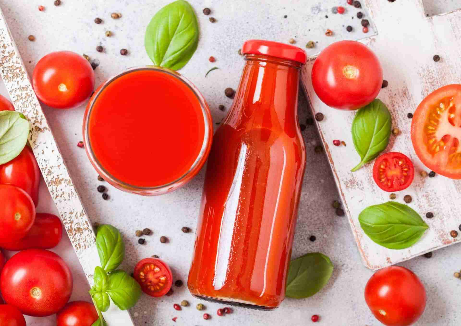 Best Tomato Juicer