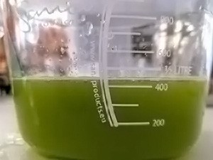 omega-nc900hdc-juice-yield