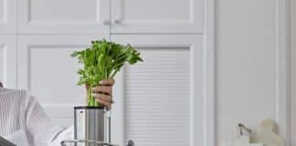 Homeleader Juicer Review: The Best Produce-Juicing Machine