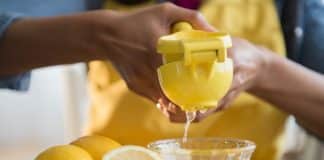 can i use a citrus juicer for lemons 4