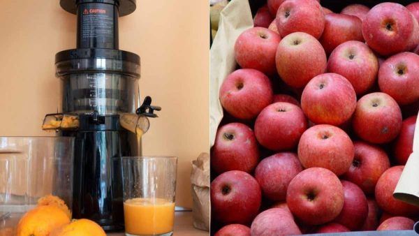 What Not To Do With A Juicer?