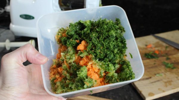 What To Do With Juicing Pulp?