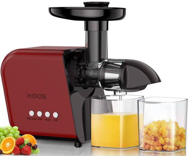 Why Buy A Masticating Juicer?