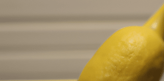 what is the easiest lemon juicer to use