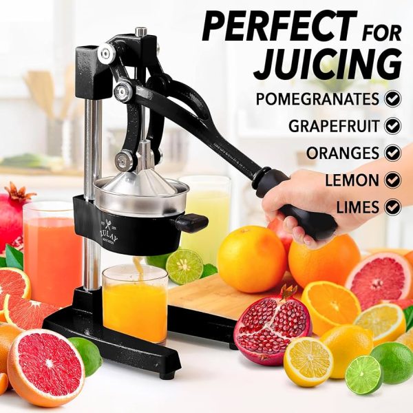 Where Are The Best Places To Buy Lemon Juicers Online?