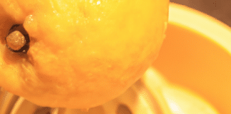 what are signs a citrus juicer needs replacing