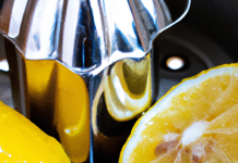 what is the best value lemon juicer