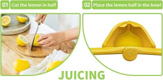 flat lemon squeezer manual review
