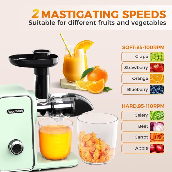 IWODTECH Cold Press Juicer, Slow Juicer Machines, Juicer Machine for Vegetable  Fruit, Slow Masticating Juicer with 2-Speed Modes, Silent Motor and Reverse Function, with 2 Cups, Black