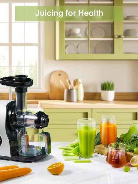 Juicer Machines, HOUSNAT Professional Celery Slow Masticating Juicer Extractor Easy to Clean, Cold Press Juicer with Quiet Motor and Reverse Function for Fruit  Vegetable, Brushes  Recipes Included
